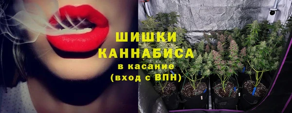 сатива Верхнеуральск