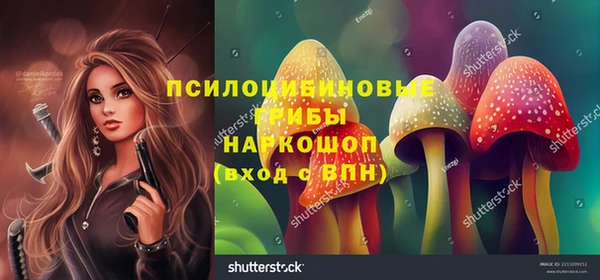 сатива Верхнеуральск